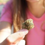 Do sober living homes kick out people who use medical cannabis?